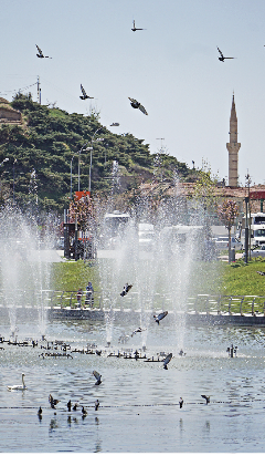 Anadolu aldı başını gidiyor